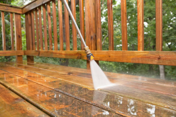 Best Pressure Washing Company Near Me  in Bacliff, TX